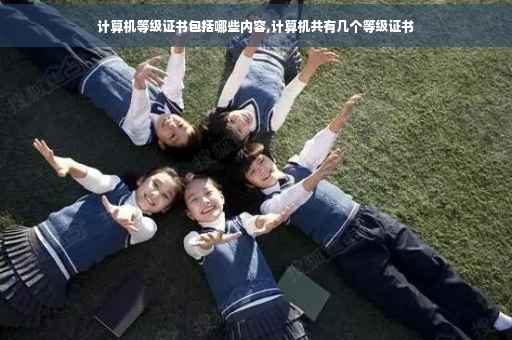 计算机等级证书包括哪些内容,计算机共有几个等级证书