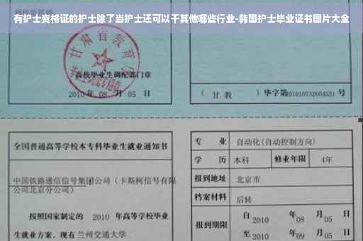 有护士资格证的护士除了当护士还可以干其他哪些行业-韩国护士毕业证书图片大全
