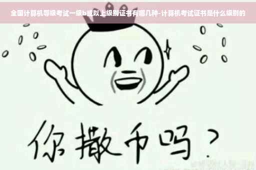全国计算机等级考试一级b或以上级别证书有哪几种-计算机考试证书是什么级别的