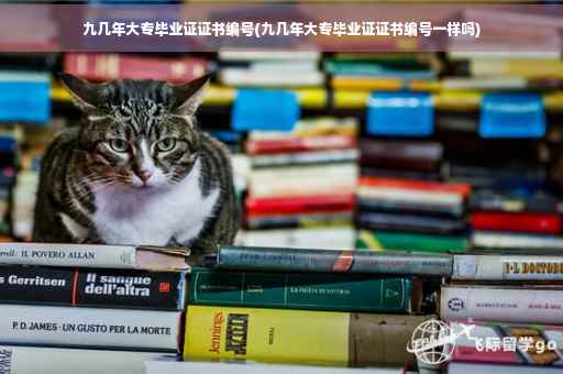 九几年大专毕业证证书编号(九几年大专毕业证证书编号一样吗)
