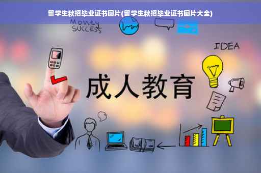 留学生秋招毕业证书图片(留学生秋招毕业证书图片大全)