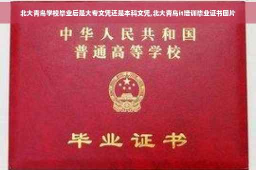 北大青鸟学校毕业后是大专文凭还是本科文凭,北大青鸟it培训毕业证书图片