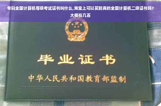 专科全国计算机等级考试证书叫什么,淘宝上可以买到真的全国计算机二级证书吗？大概在几百