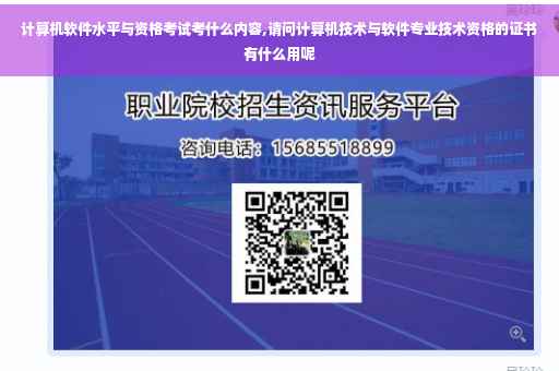 计算机软件水平与资格考试考什么内容,请问计算机技术与软件专业技术资格的证书有什么用呢