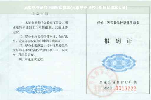 高中毕业证书证明图片样本(高中毕业证书证明图片样本大全)