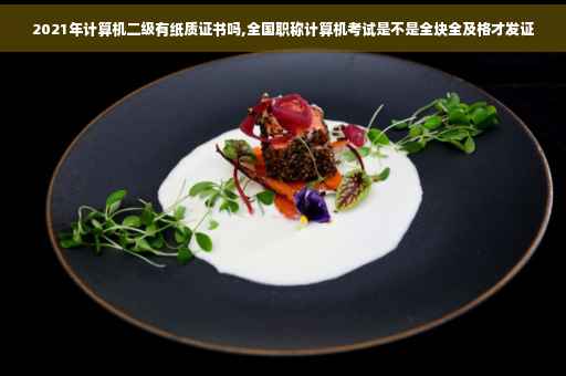2021年计算机二级有纸质证书吗,全国职称计算机考试是不是全块全及格才发证