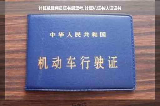 计算机程序员证书哪里考,计算机证书认证证书
