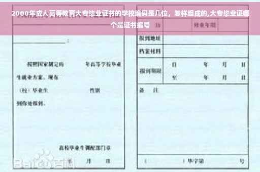 2000年成人高等教育大专毕业证书的学校编码是几位，怎样组成的,大专毕业证哪个是证书编号
