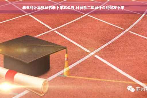 毕业时计算机证书未下来怎么办,计算机二级证什么时候发下来