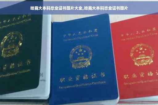 哈商大本科毕业证书图片大全,哈商大本科毕业证书图片
