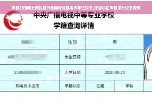 怎样打印网上查找到的全国计算机等级考试证书,计算机初级程序员证书查询