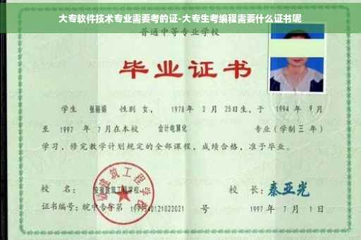 大专软件技术专业需要考的证-大专生考编程需要什么证书呢