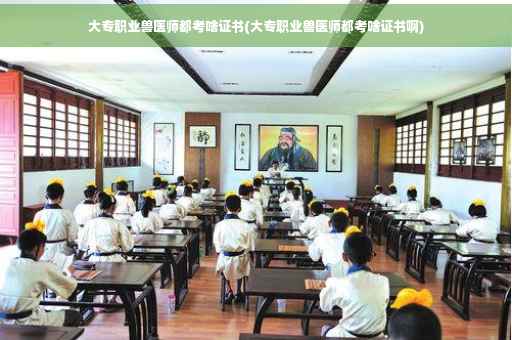 大专职业兽医师都考啥证书(大专职业兽医师都考啥证书啊)