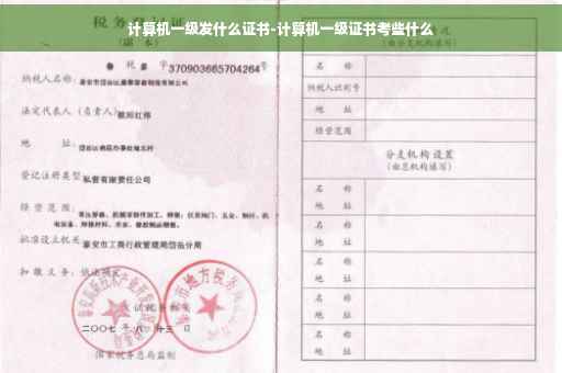 计算机一级发什么证书-计算机一级证书考些什么