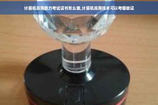 计算机应用能力考试证书怎么查,计算机应用技术可以考哪些证
