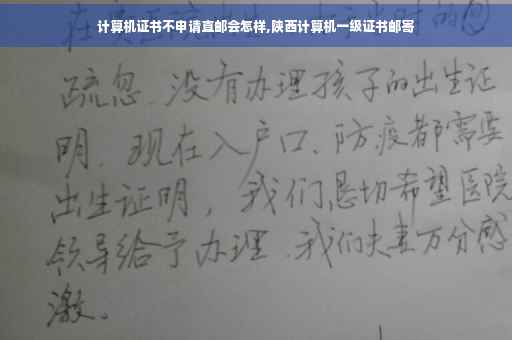 计算机证书不申请直邮会怎样,陕西计算机一级证书邮寄