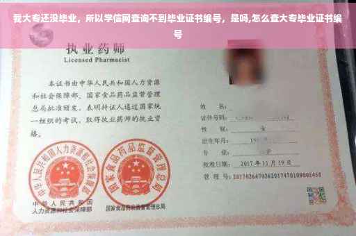 我大专还没毕业，所以学信网查询不到毕业证书编号，是吗,怎么查大专毕业证书编号