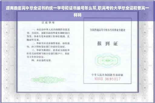湖南娄底高中毕业证书的统一学号和证书编号怎么写,职高考的大学毕业证和普高一样吗