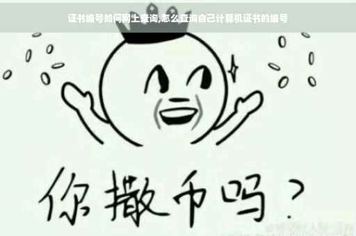 证书编号如何网上查询,怎么查询自己计算机证书的编号
