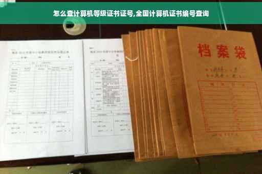 怎么查计算机等级证书证号,全国计算机证书编号查询