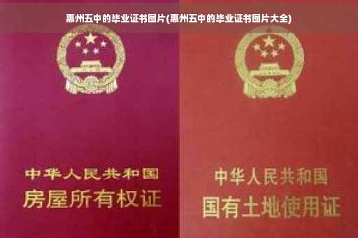 惠州五中的毕业证书图片(惠州五中的毕业证书图片大全)
