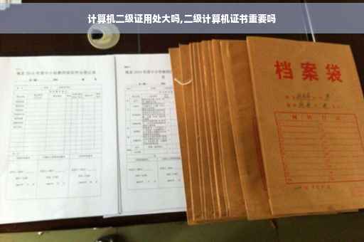 计算机二级证用处大吗,二级计算机证书重要吗