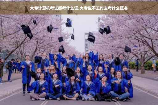 大专计算机考试都考什么证,大专生不工作去考什么证书