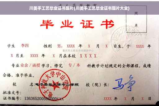 川美手工艺毕业证书图片(川美手工艺毕业证书图片大全)