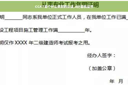 CCAT是个什么级别的认证,d计算机证书
