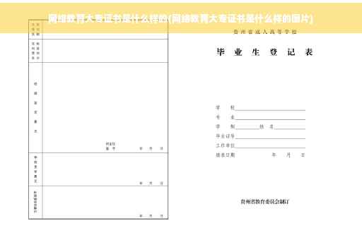 网络教育大专证书是什么样的(网络教育大专证书是什么样的图片)