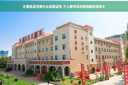 计算机证书是什么类型证书,个人数字证书初始密码是多少