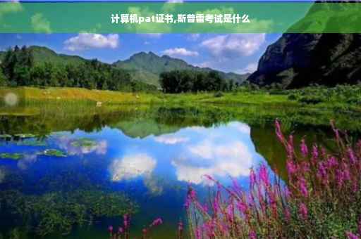 计算机pat证书,斯普雷考试是什么