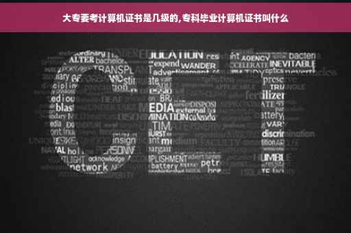 大专要考计算机证书是几级的,专科毕业计算机证书叫什么