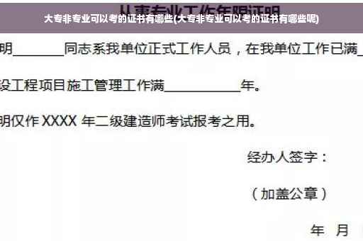 大专非专业可以考的证书有哪些(大专非专业可以考的证书有哪些呢)