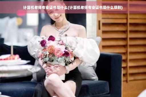 计算机老师专业证书是什么(计算机老师专业证书是什么级别)