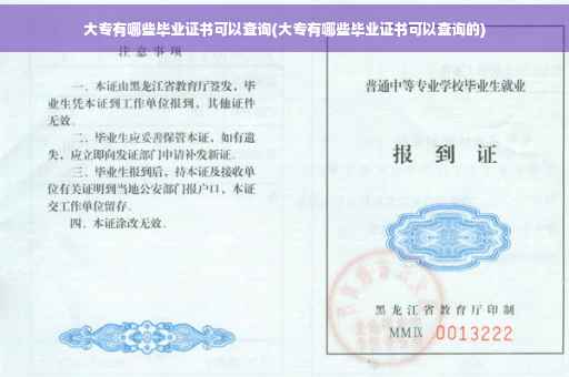 大专有哪些毕业证书可以查询(大专有哪些毕业证书可以查询的)