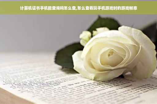 计算机证书手机能查询吗怎么查,怎么查看玩手机游戏时的游戏帧率 计算机证书手机能查询吗怎么查,怎么查看玩手机游戏时的游戏帧率