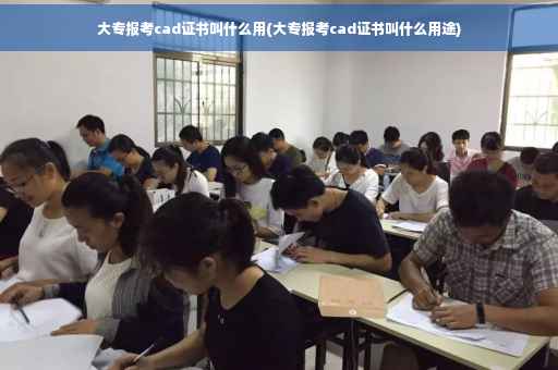 大专报考cad证书叫什么用(大专报考cad证书叫什么用途)