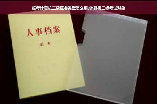 报考计算机二级证书类型怎么填,计算机二级考试对象
