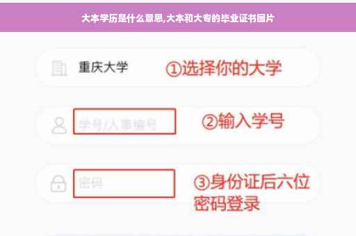 大本学历是什么意思,大本和大专的毕业证书图片
