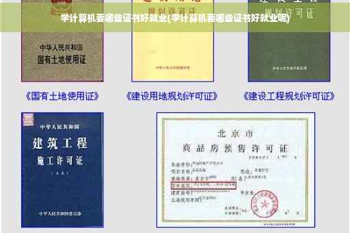 学计算机要哪些证书好就业(学计算机要哪些证书好就业呢)