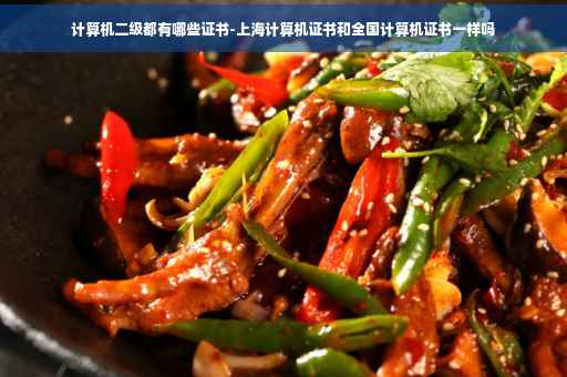 计算机二级都有哪些证书-上海计算机证书和全国计算机证书一样吗