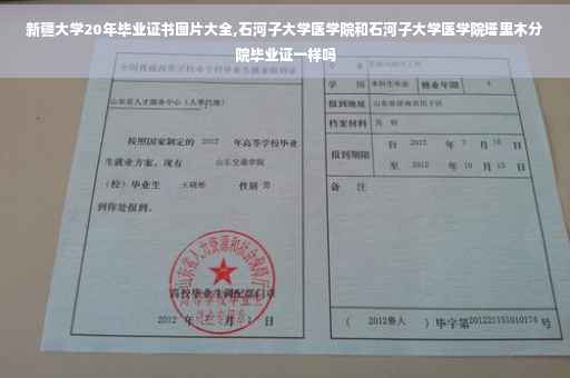 新疆大学20年毕业证书图片大全,石河子大学医学院和石河子大学医学院塔里木分院毕业证一样吗 新疆大学20年毕业证书图片大全,石河子大学医学院和石河子大学医学院塔里木分院毕业证一样吗