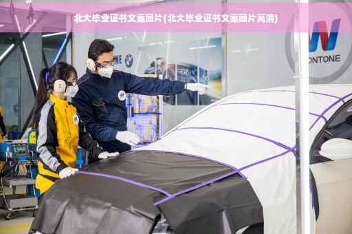北大毕业证书文案图片(北大毕业证书文案图片高清)