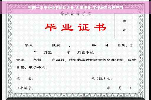 东岗一中毕业证书图片大全,大学毕业,工作后怎么迁户口