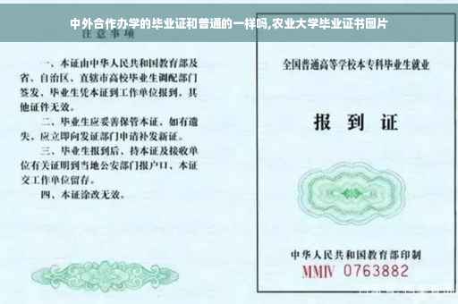 中外合作办学的毕业证和普通的一样吗,农业大学毕业证书图片