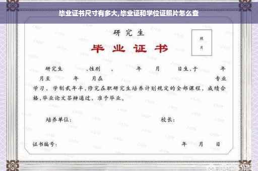 毕业证书尺寸有多大,毕业证和学位证照片怎么查