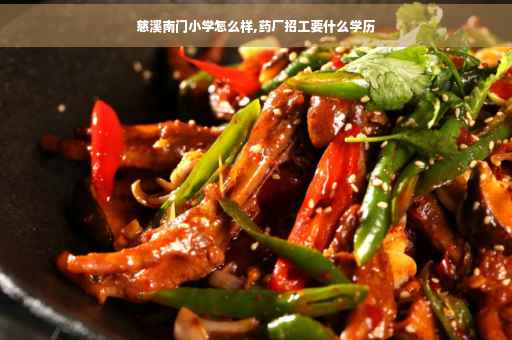 慈溪南门小学怎么样,药厂招工要什么学历