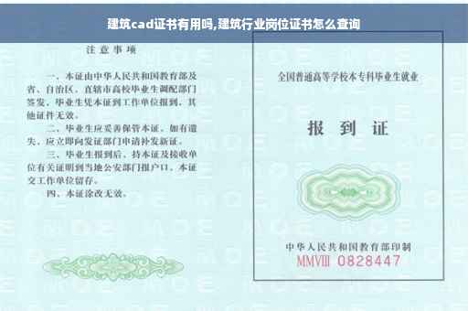 建筑cad证书有用吗,建筑行业岗位证书怎么查询