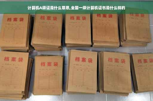 计算机A级证是什么意思,全国一级计算机证书是什么样的